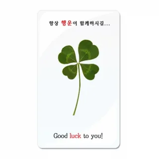 네잎클로버생화코팅 인쇄카드