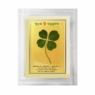 왕네잎클로버생화 금펄크리스탈액자