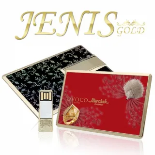 이츠 제니스(JENIS) 골드 카드형 USB
