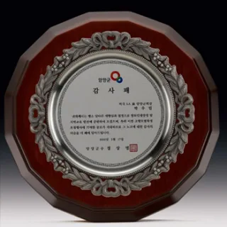 주석쟁반패 21C10-308-6(25*25)