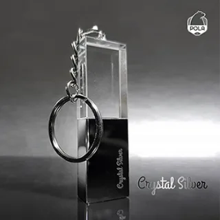 POLA CA717 silver