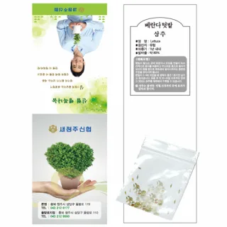 상추씨