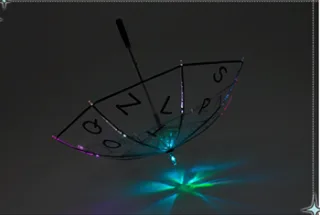 WB-750 LED반짝이 안전우산 