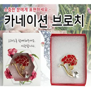 카네이션 브로치 