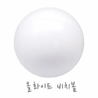 [대] 올화이트 비치볼