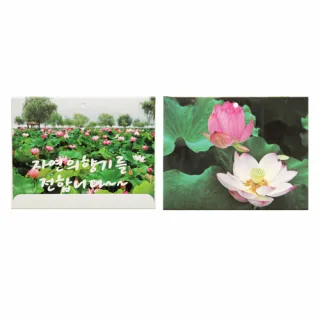 사세(멤브렌 방향제)-꽃_(가로형)