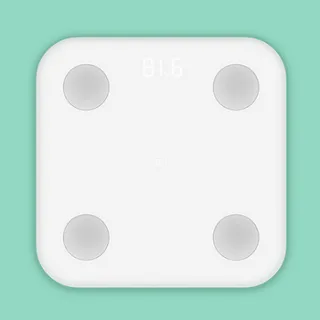 샤오미 미스케일2 (스마트 체중계)