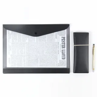 페니체 클리어파일