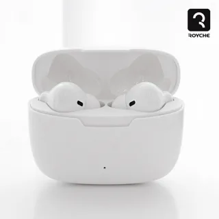 로이체 무선 블루투스 이어폰 BTW-20