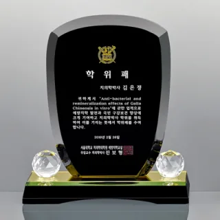 블랙크리스탈 상패 / SD13호 303-1