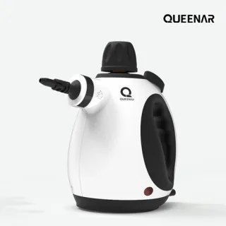 퀸나 스팀 청소기