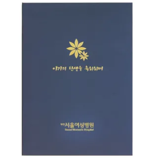 출생기록부