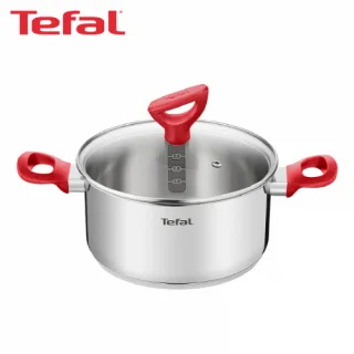 테팔 에디션 레드 인덕션 냄비 양수 24cm