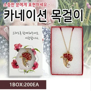 카네이션 목걸이 