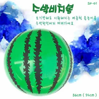 수박 비치볼