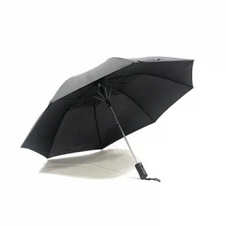 태나 55cm 2단 자동우산