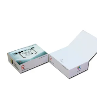 커버형 측면컬러 전사포스트잇 100x75x300매