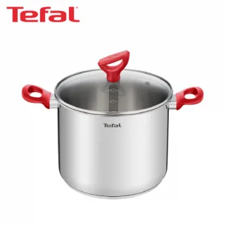 테팔 에디션 레드 인덕션 냄비 곰솥 22cm