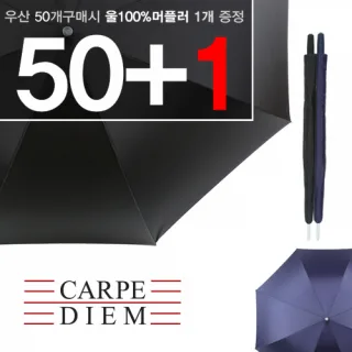 카르페디엠 75*8K 장우산 (CD08)