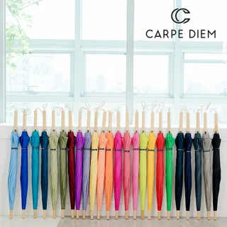 카르페디엠 스마트 라이프 우드핸들 (S004)