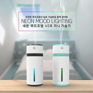 네온 무드조명 USB 미니 가습기