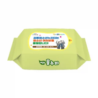 40매 그린 무광 물티슈