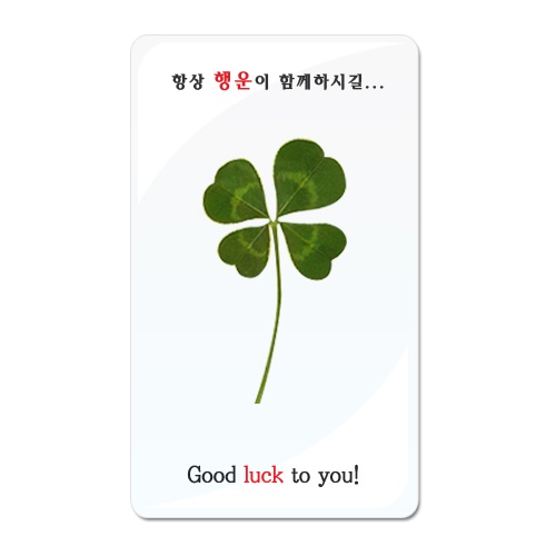 네잎클로버생화코팅 인쇄카드