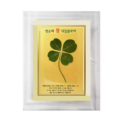 왕네잎클로버생화 금펄크리스탈액자