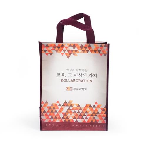 랍빠부직포쇼핑백  280x130x380 mm