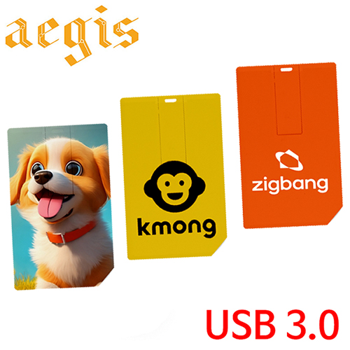 이지스 카드형 USB 3.0 메모리 16GB~128GB