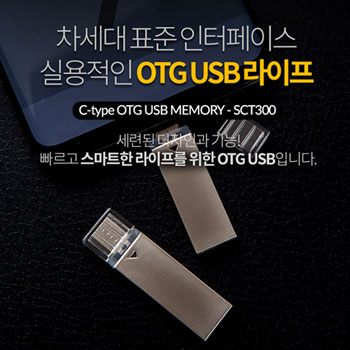 이지스-SCT300 OTG C-TYPE 메모리 4GB/