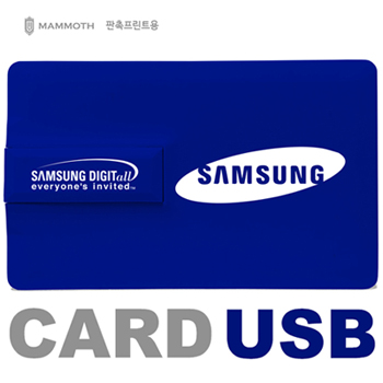 매머드 MAMMOTH GU1080 카드형 USB