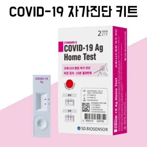SD바이오센서 코로나19 자가검사키트 1개입