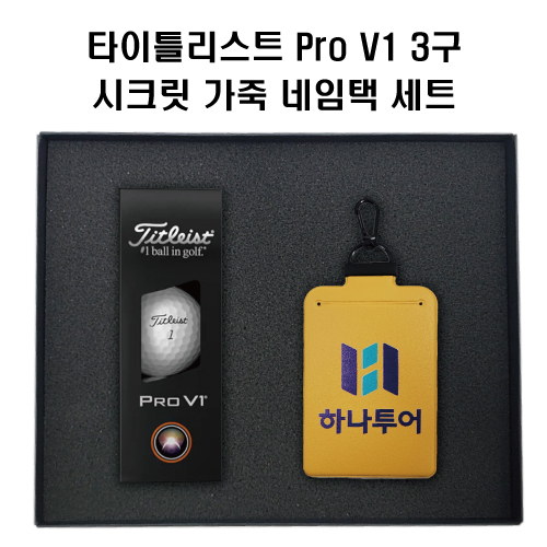 타이틀리스트 Pro V1골프공+정보보호 시크릿 가죽 골