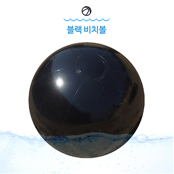(대) 블랙 비치볼 